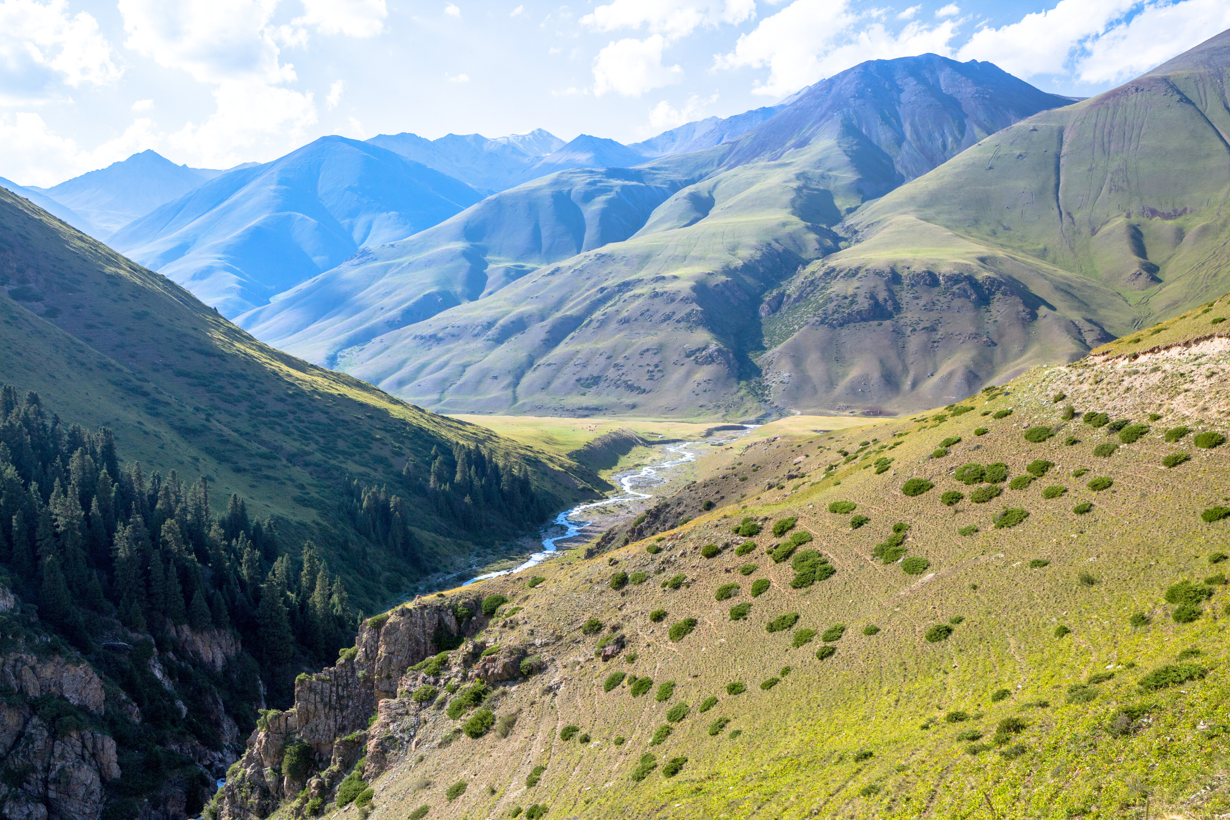 chong-kemin national park (4).webp